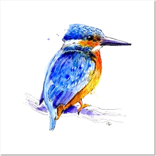 Kingfisher Posters and Art